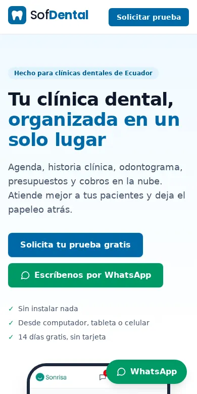 SofDental: vista en celular